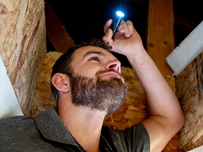 An inspector looking for termites in the attic of a home.