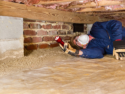 An inspector looking for termites in the crawl space of a home.