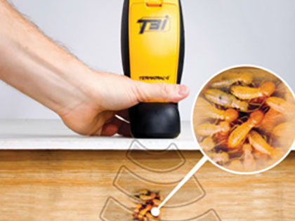 Graphic of Tetramac Radar sensing for termites beneath wooden floor.