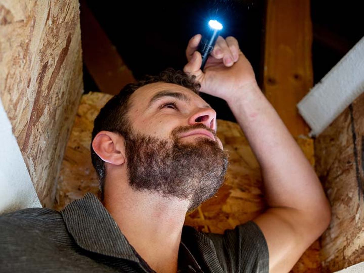 An inspector looking for termites in the attic of a home.
