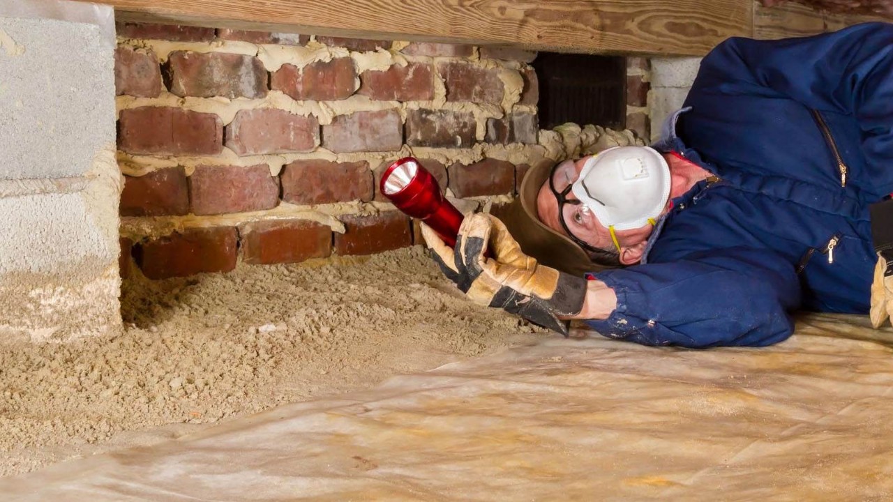 inspection-termites-crawl-space-1600x900.jpg An inspector looking for termites in the crawl space of a home.