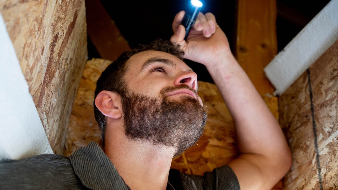 An inspector looking for termites in the attic of a home.