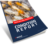 Condition Report Book