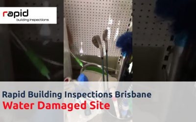 Rapid Building Inspection | Water Damaged Site | Building & Pest Inspection