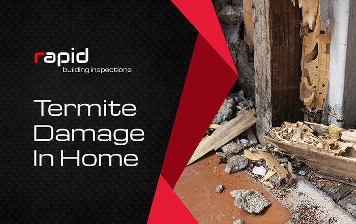 Termite Damage In Home